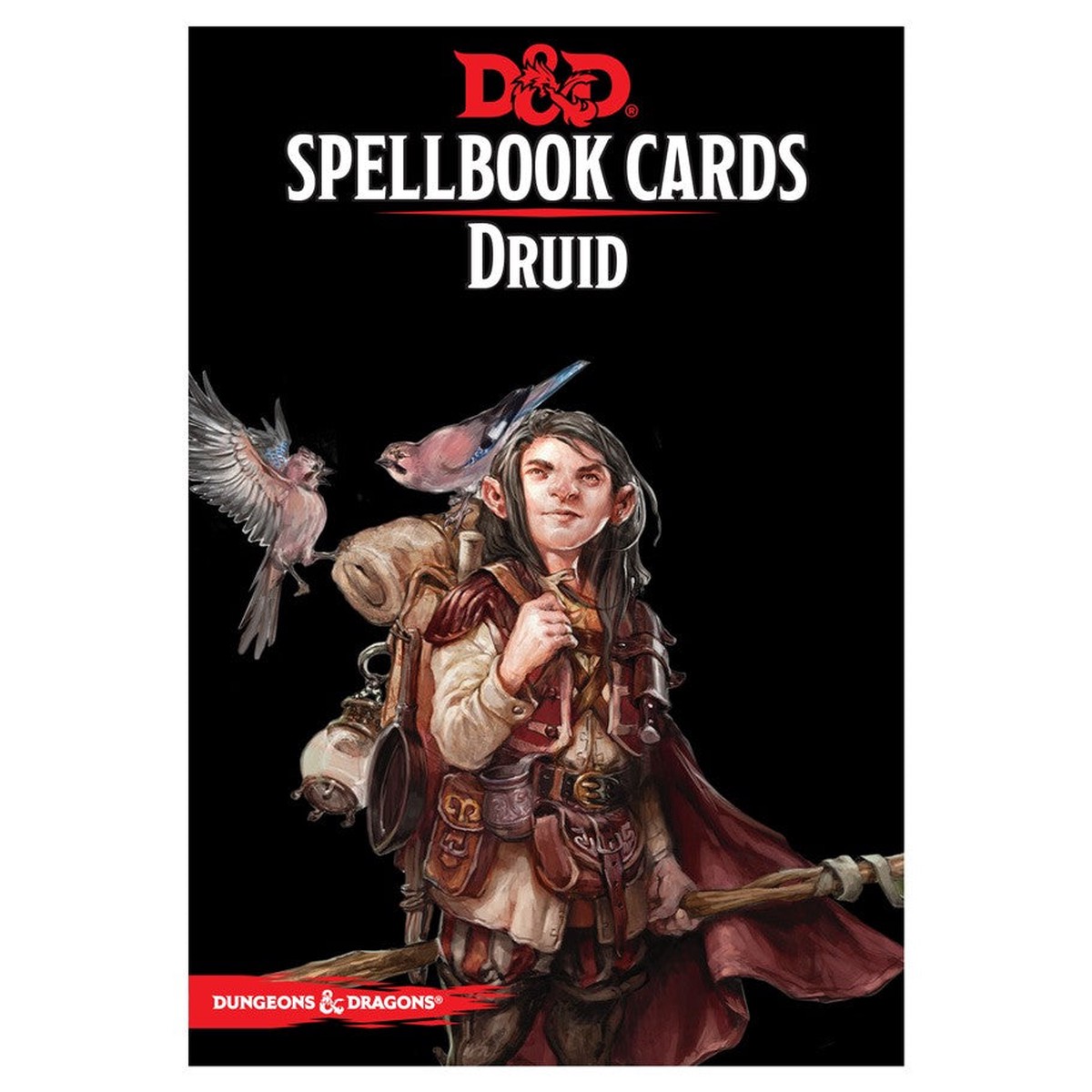 DD Spellbook New Druid Deck 2