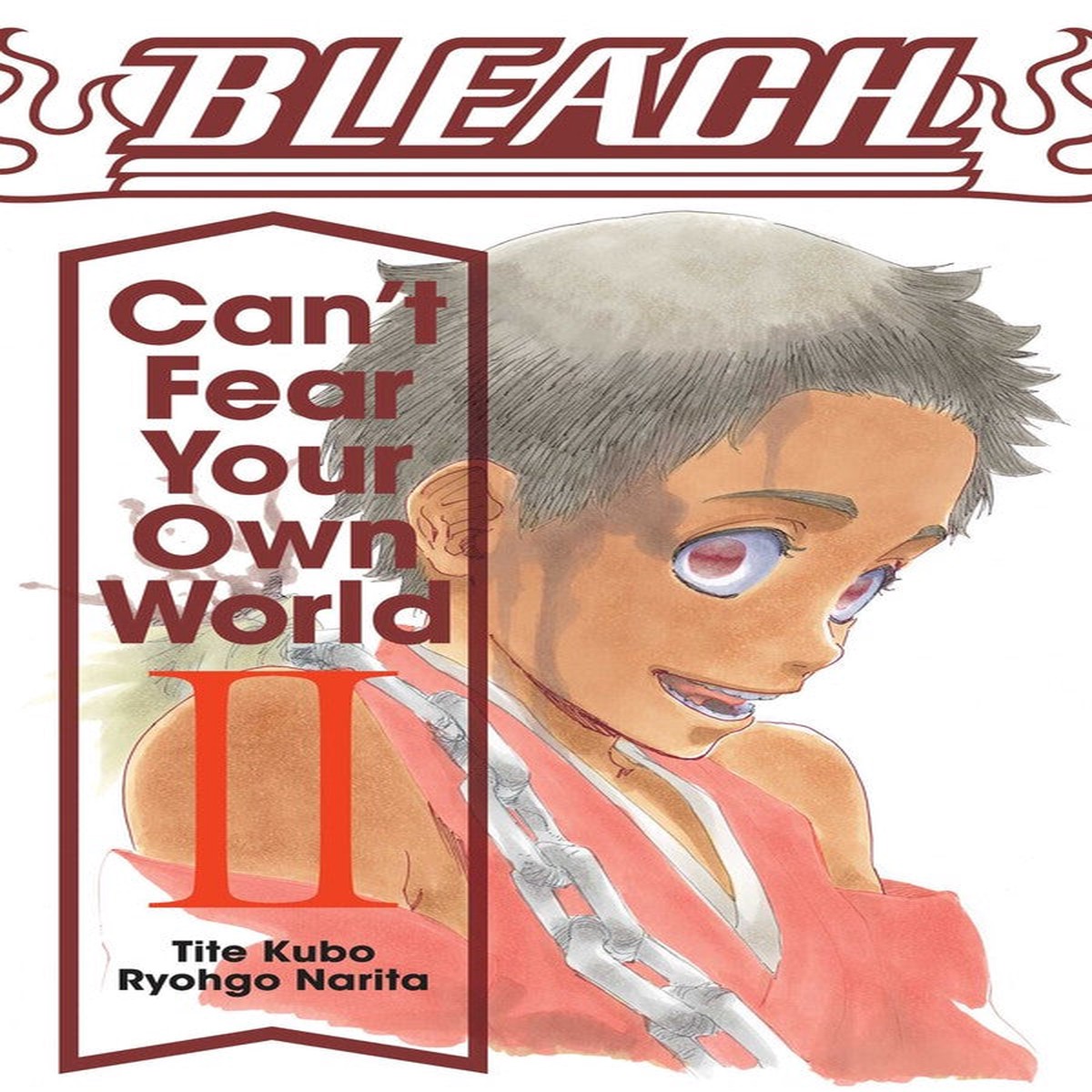 Bleach Cant Fear Your Own World Light Novel Softcover Volume 02