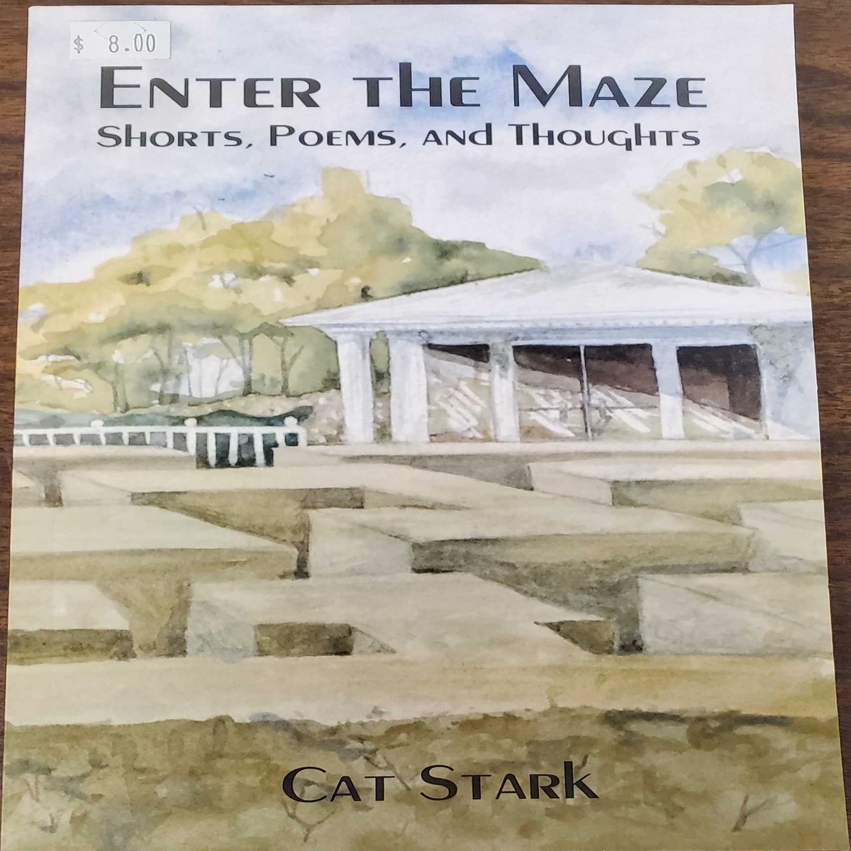 Enter The Maze