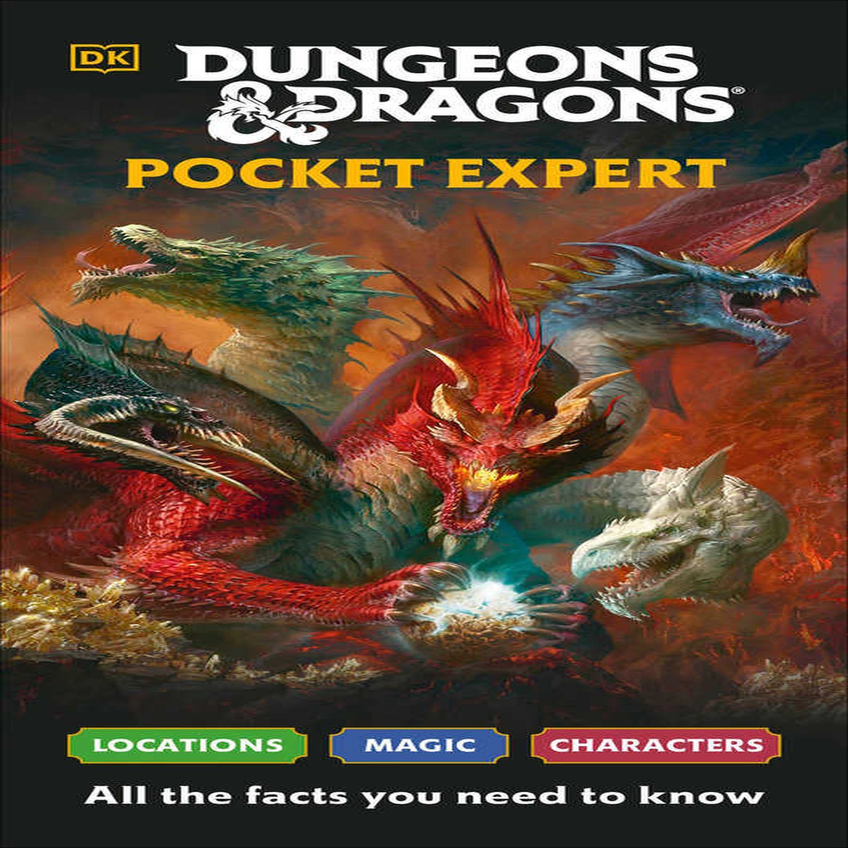 Dungeons Dragons Pocket Expert