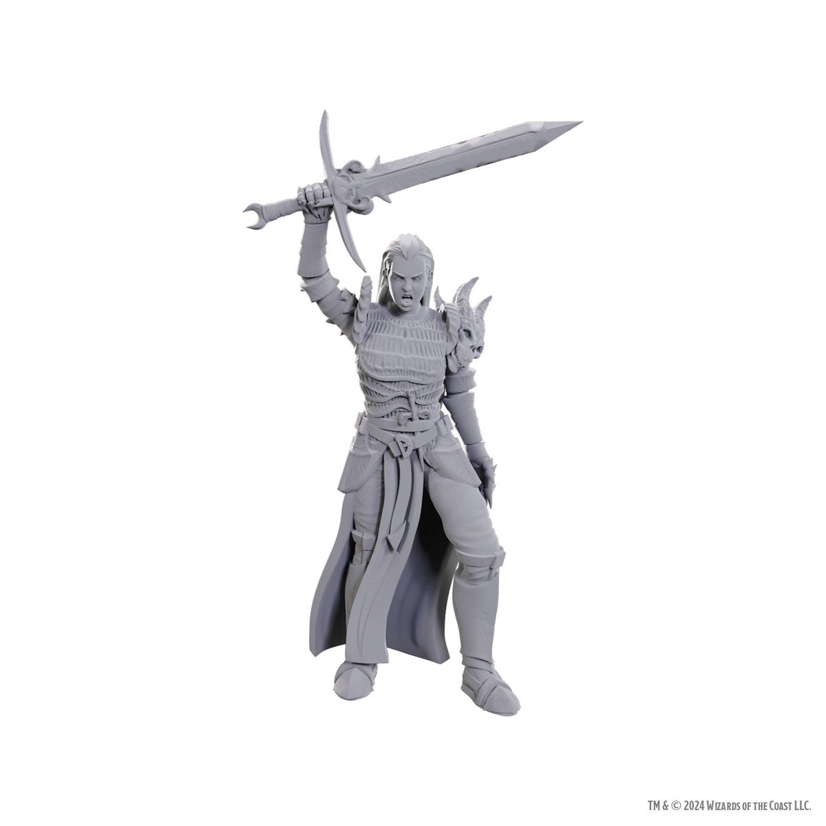 DD Nolzurs Marvelous Miniatures Blackguard
