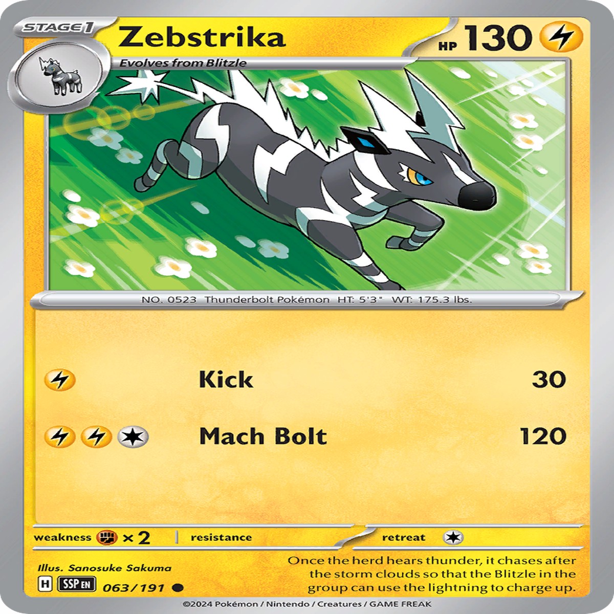 Zebstrika - 063191