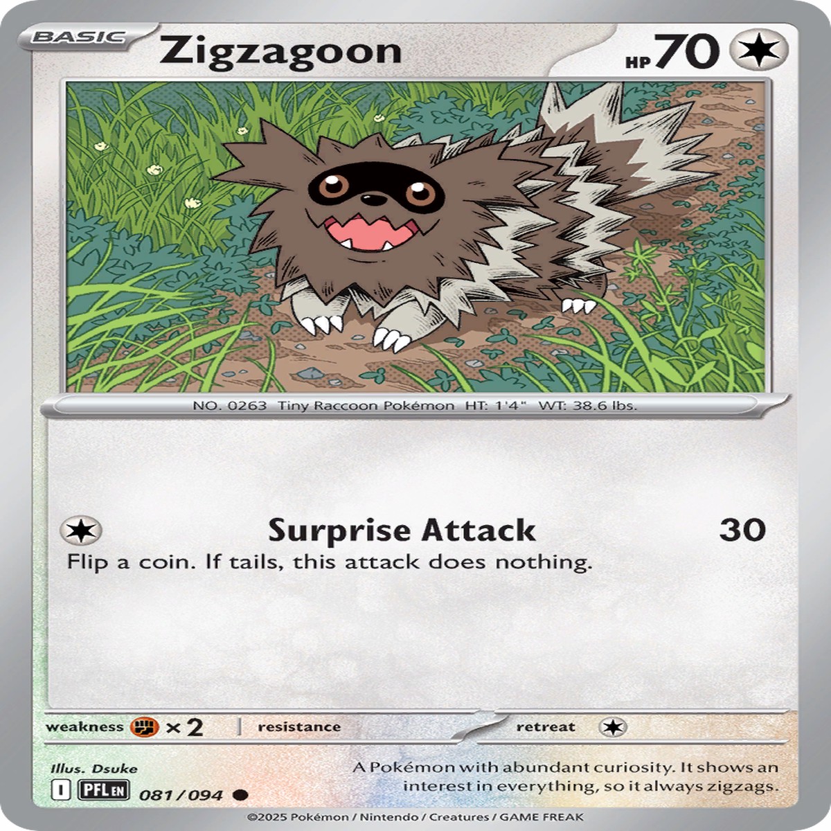 Zigzagoon - 081094