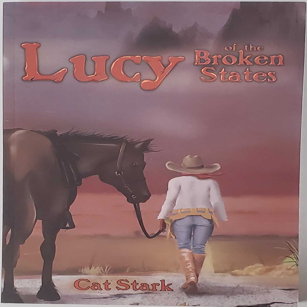 Lucy of the Broken States